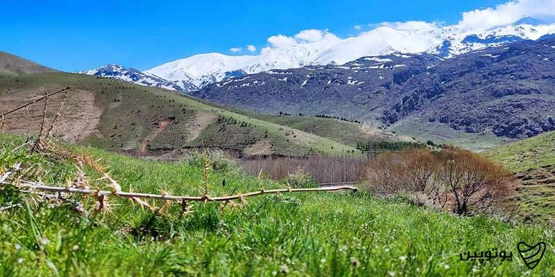 سرآب گاماسیاب و پارک جنگلی