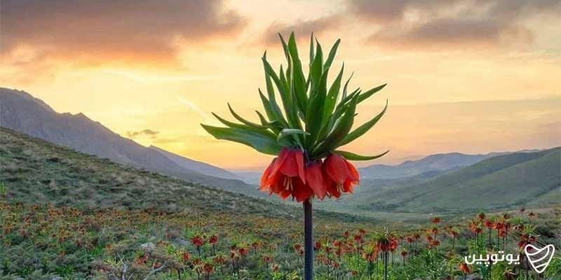 مسیریابی و نحوه دسترسی به ملایر