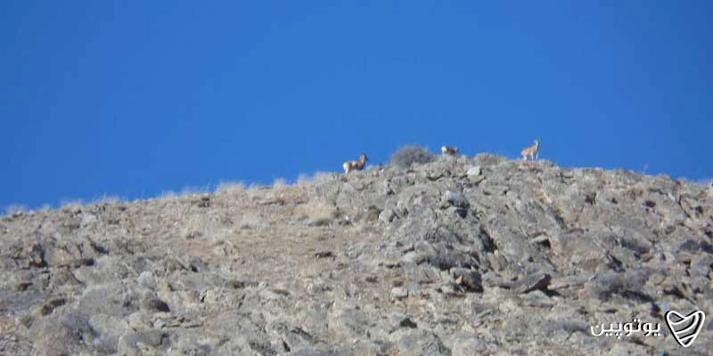 منطقه حفاظت‌شده لشگر