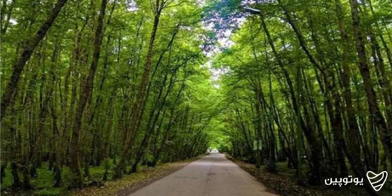 نکات کاربردی برای انتخاب مسیر خلخال