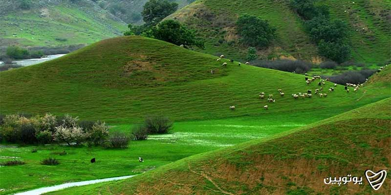 کوهرنگ