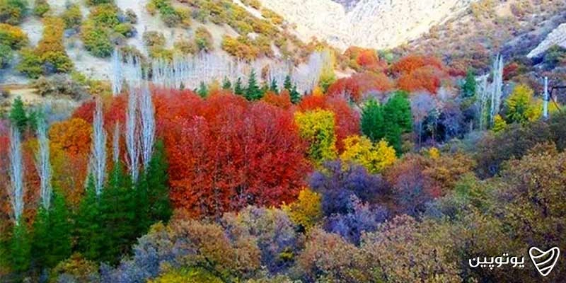 یاسوج