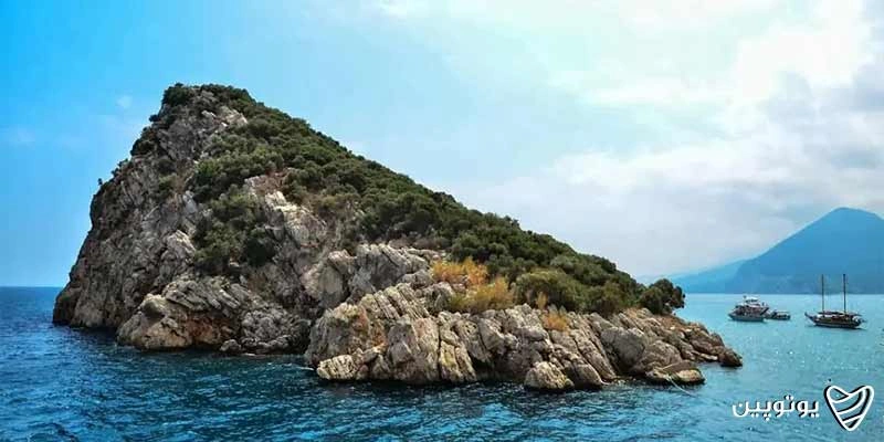 Mouse Island