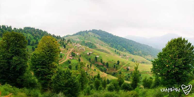 تالش