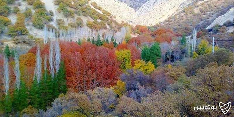 تنگه گنجه‌ای