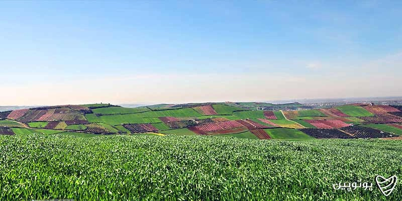 جاهای دیدنی شمال در بهار