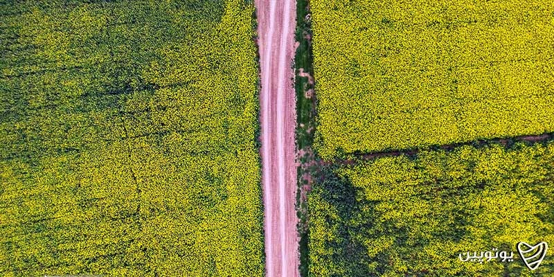 جاهای دیدنی شمال در تابستان