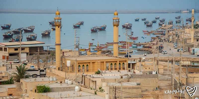 جزیره شیف
