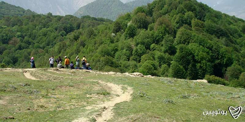 جنگل الیمستان