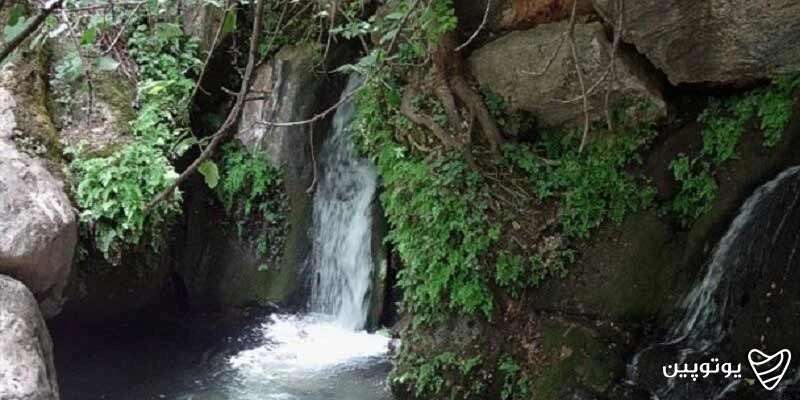 رود رونه