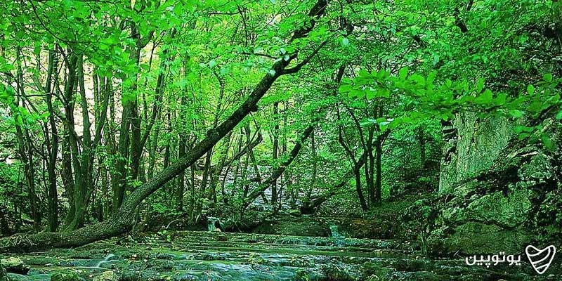 پارک ملی گلستان