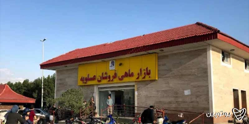 بازار ماهیفروشان عسلویه
