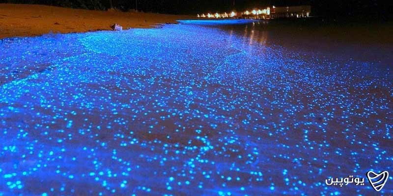 جاهای دیدنی چابهار در شب