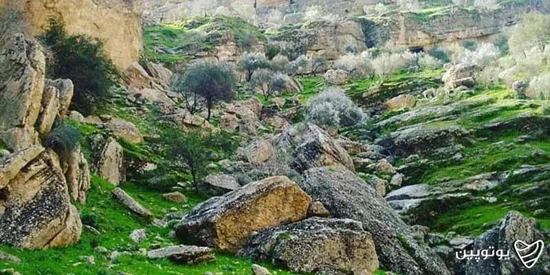 جاهای دیدنی کازرون