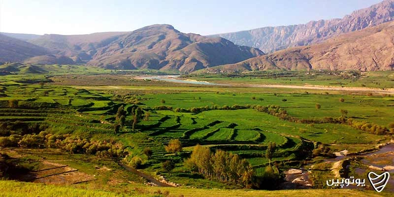 دشت سوسن