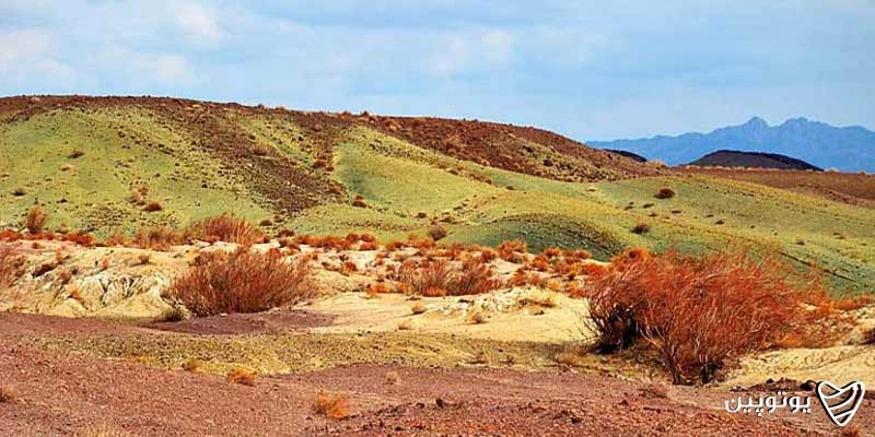 روستای رضاآباد