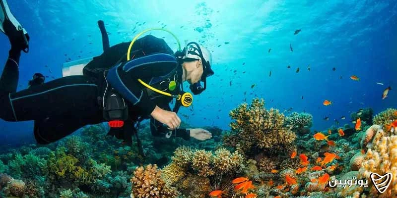 غواصی در آب‌های شفاف مدیترانه