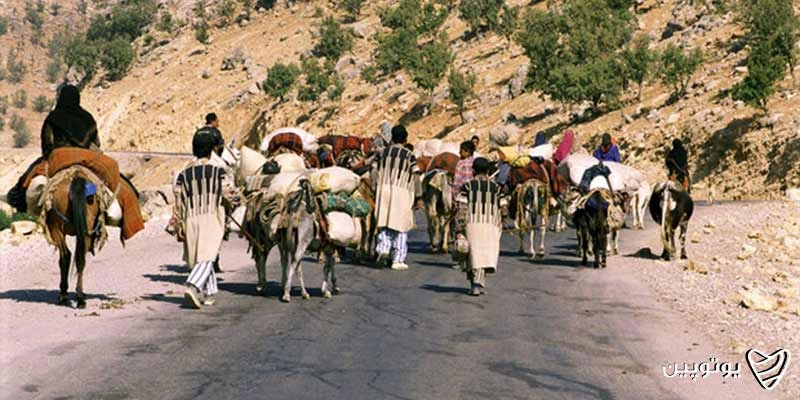 مناطق عشایری