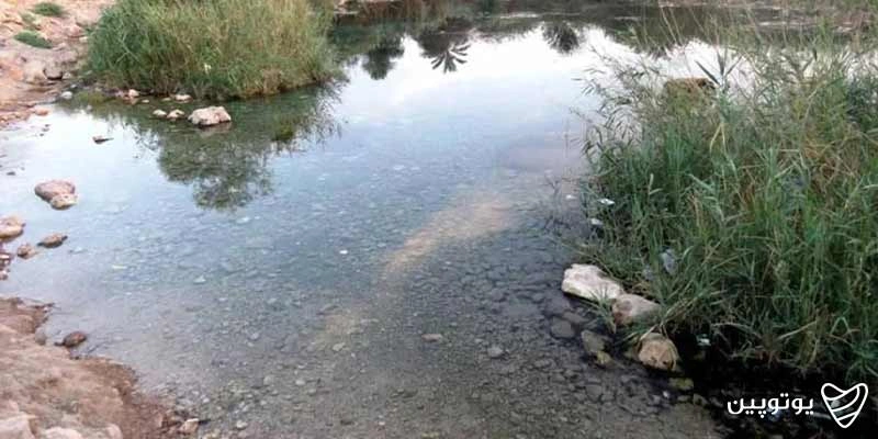 چشمه دادین