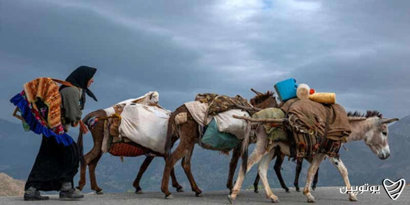 کوچ عشایر بختیاری