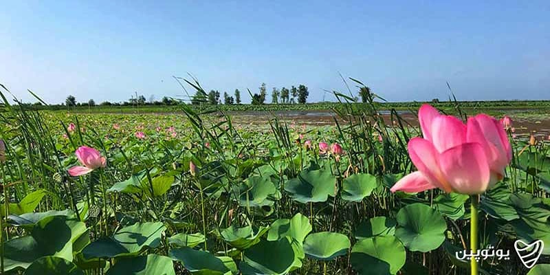 تالاب-سیاه‌درویشان