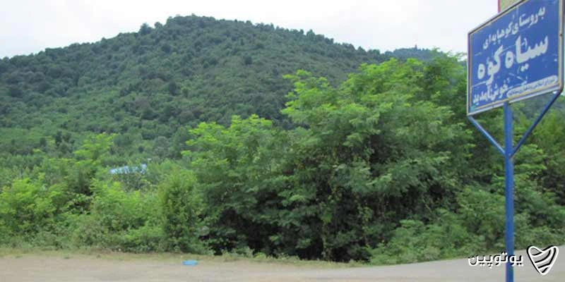 پارک-جنگلی-سیاه‌کوه