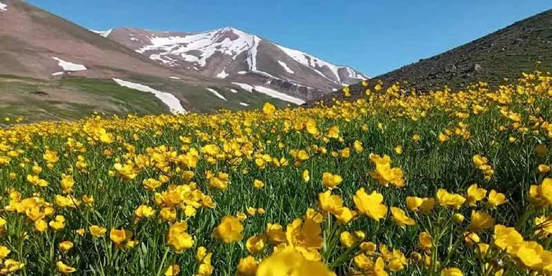 جاهای-دیدنی-مراغه