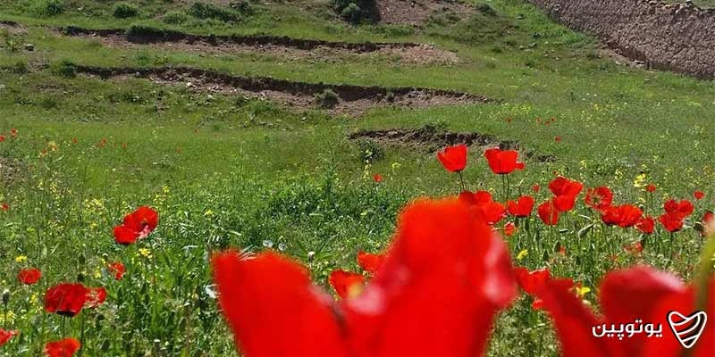 روستای-ینگجه-سادات