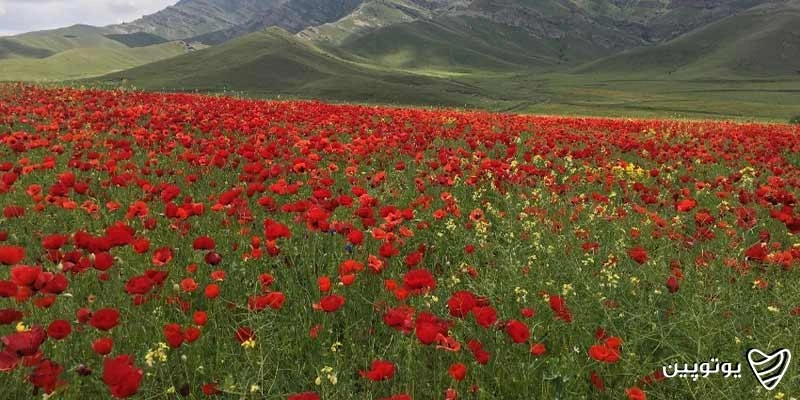 روستای-یکانات